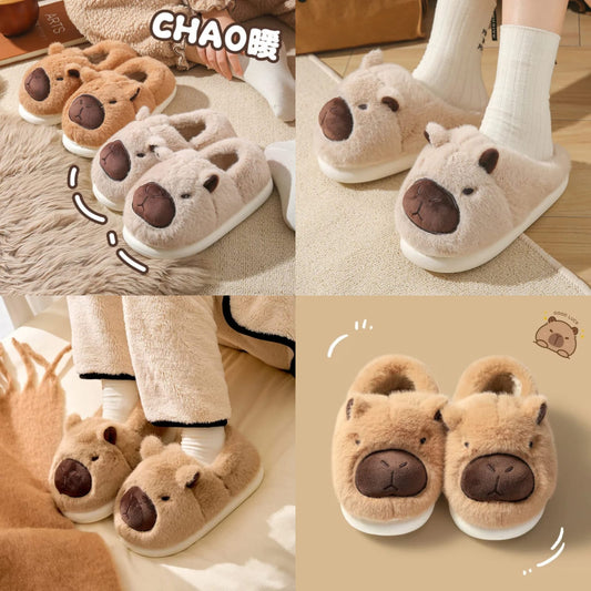Pantufla capibara